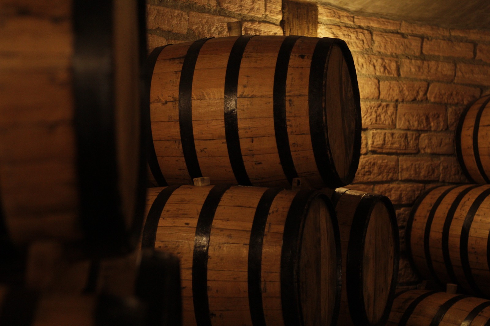 The cellar, resting.